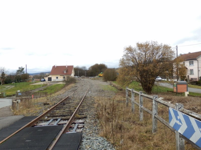 P2210031.JPG