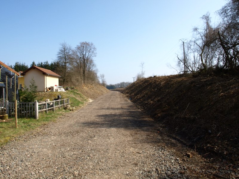 P3190450.JPG