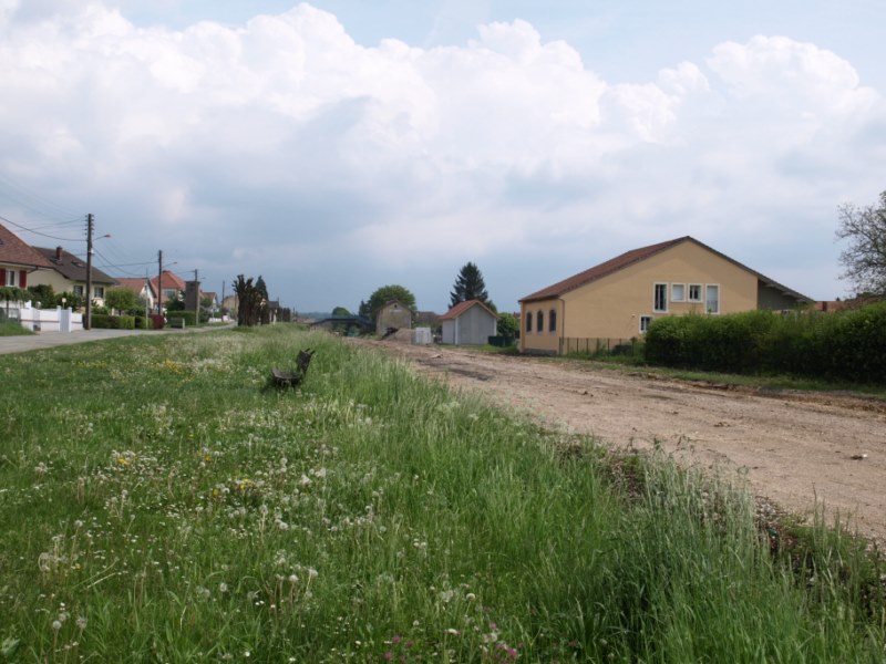 P5140845.JPG