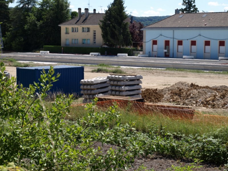 P7091194.JPG