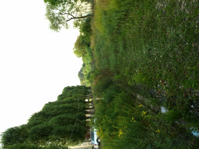 P8281984.JPG