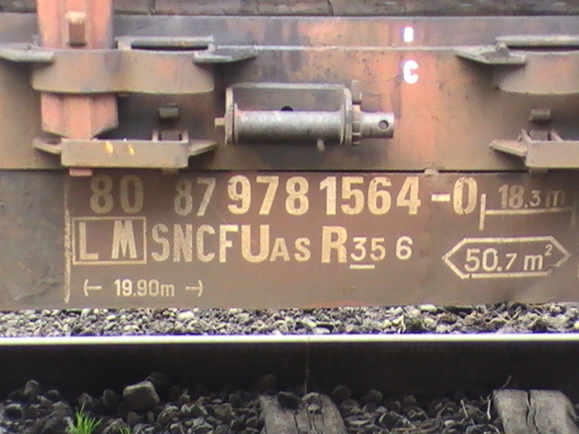 PIC_5556.JPG