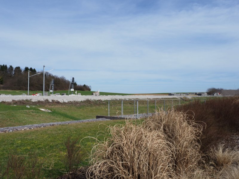 P3110581.JPG