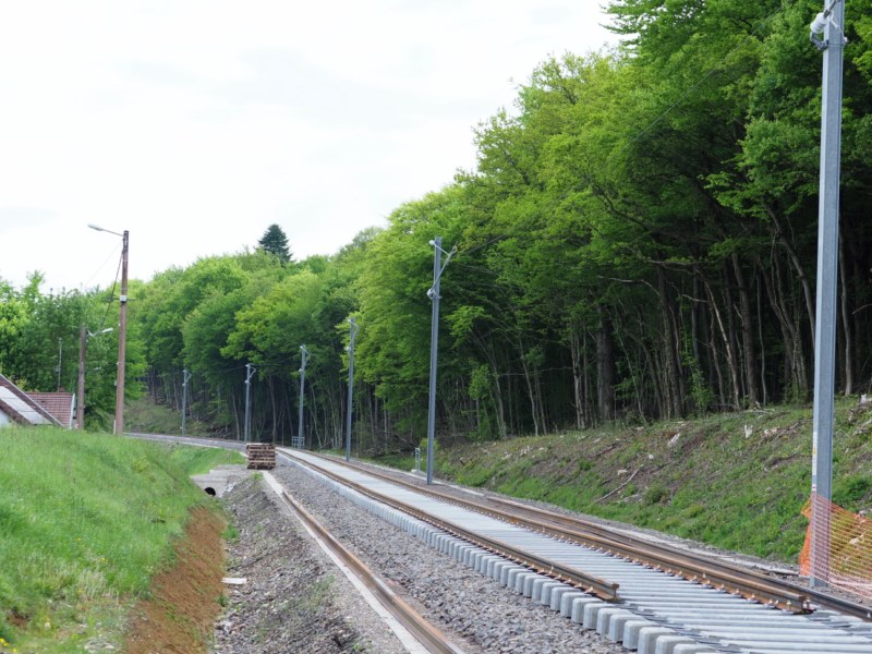 P5131654.JPG