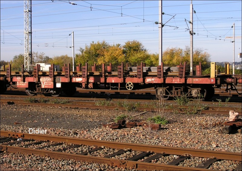 9771731-7.jpg
