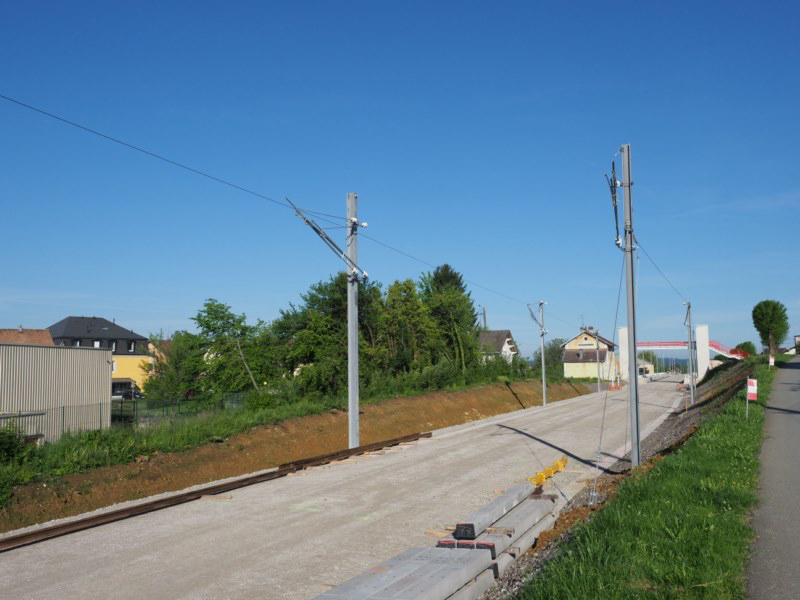 P5211729.JPG