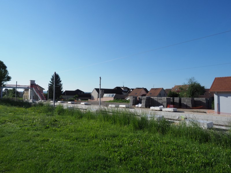 P5211744.JPG