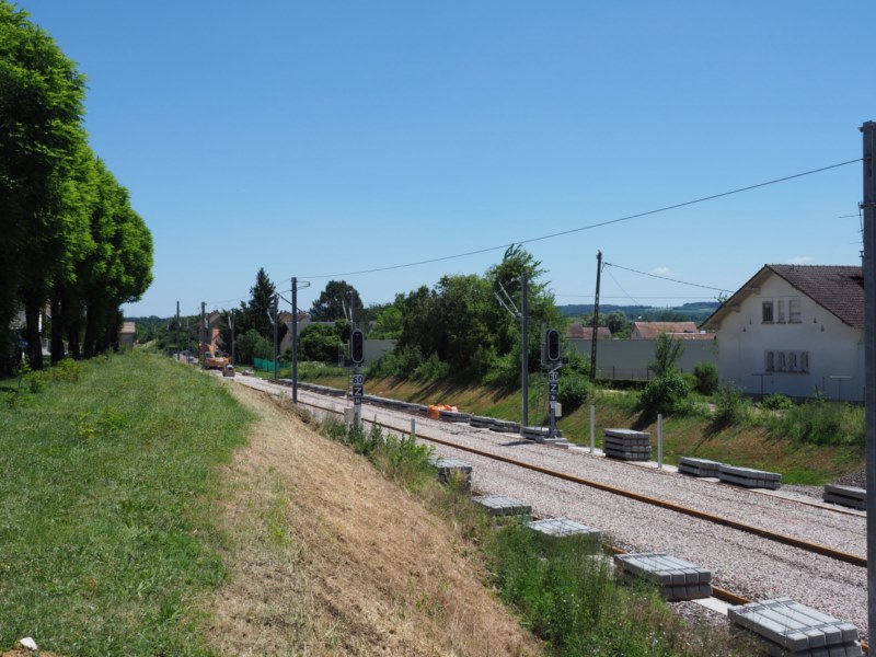 P6172334.JPG