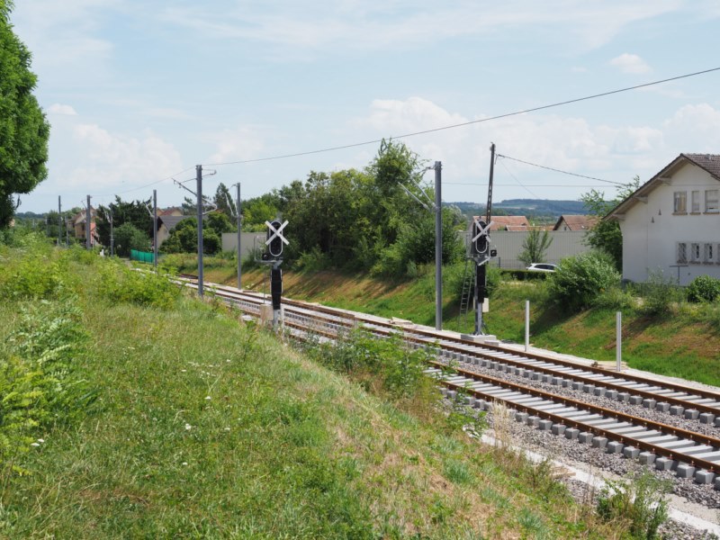 P7072529.JPG