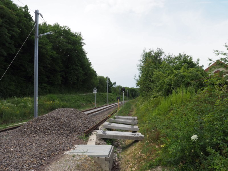 P7092550.JPG