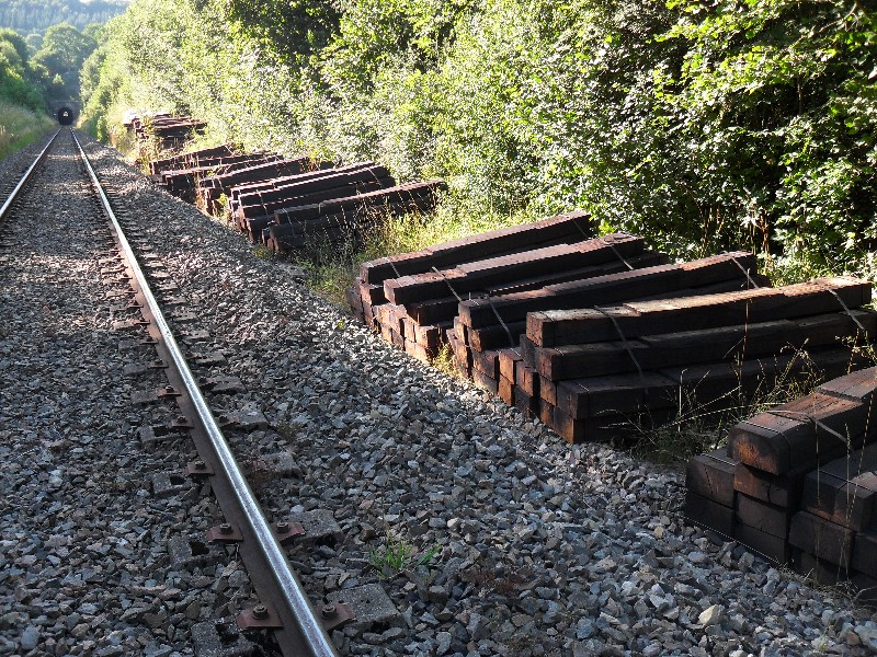 SDC11675.JPG