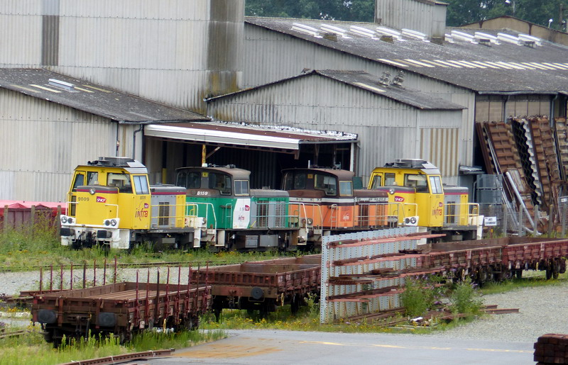 Y.9009 (2017-07-23 SPDC).jpg