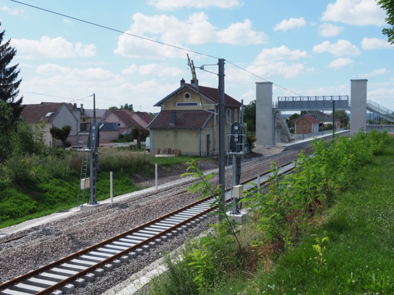 P8173567.JPG