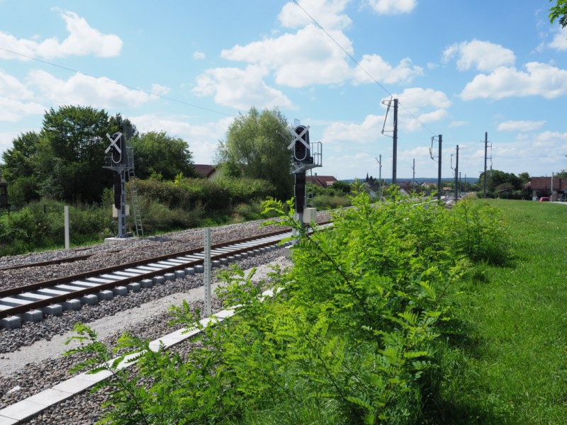 P8173571.JPG