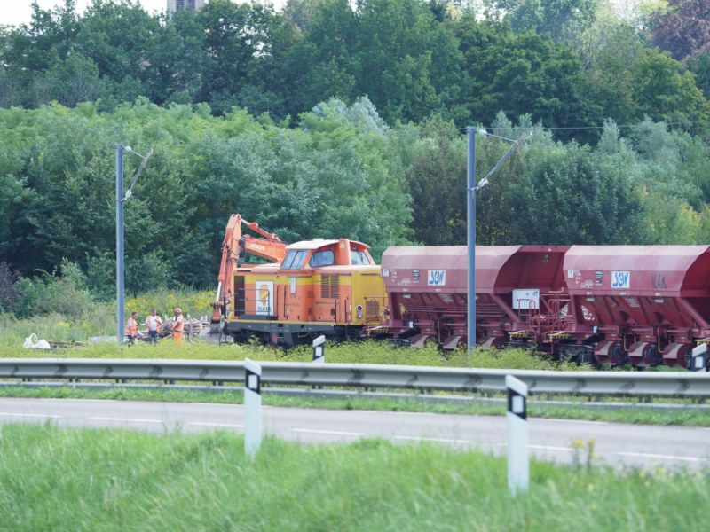 P8173574.JPG
