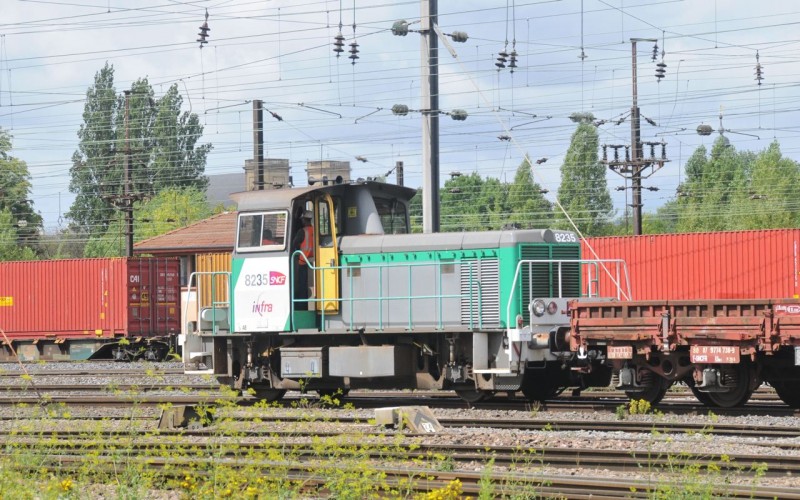 MCS_0954.jpg