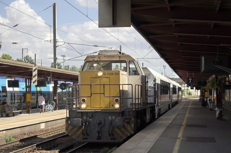 5001516 (2).jpg