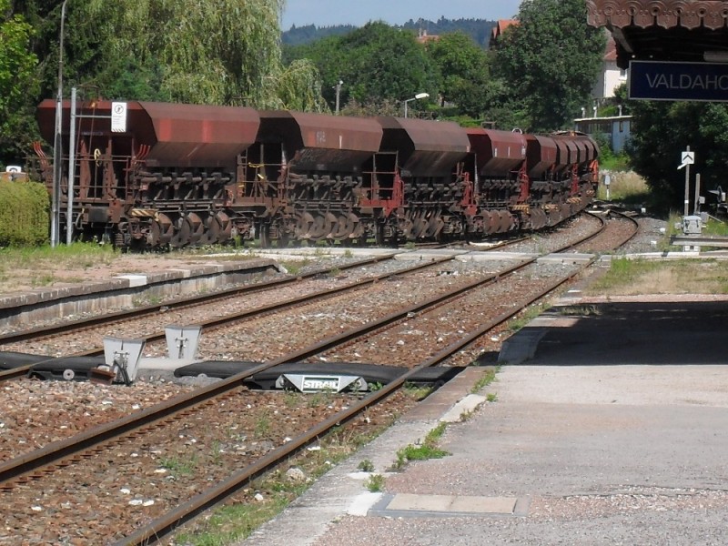 SDC12078.JPG