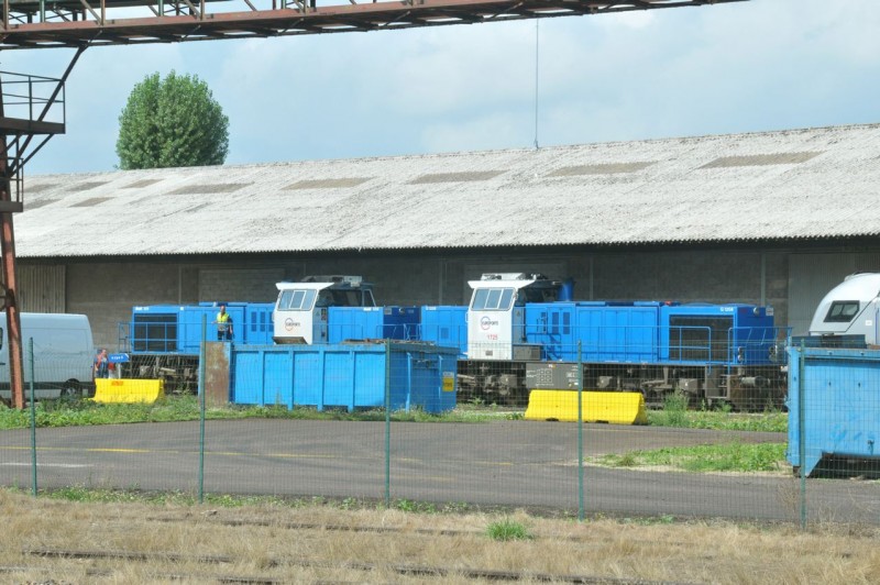 MCS_7956.jpg