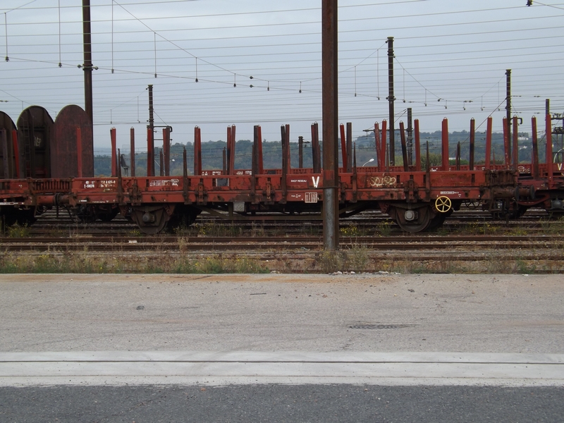 DSCF8547 (Copier).JPG