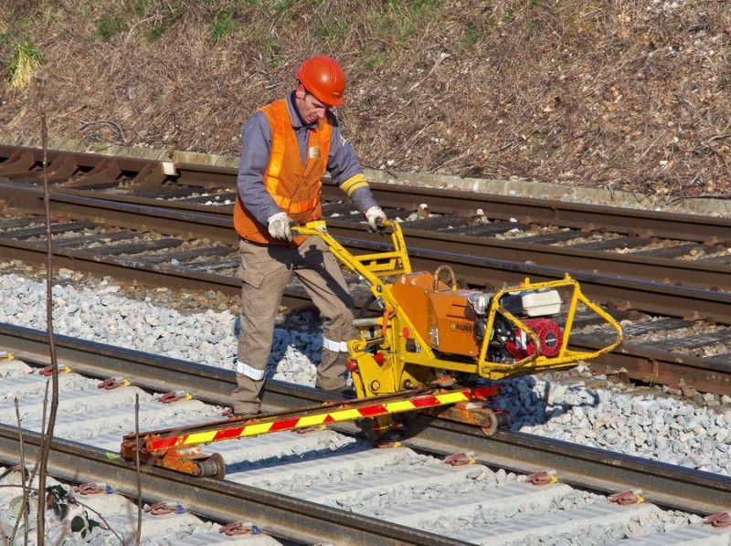 2018-02-22 bif de Jussy (4).jpg (297.76 Kio) Vu 1659 fois 2018-02-22 bif de Jussy (4).jpg