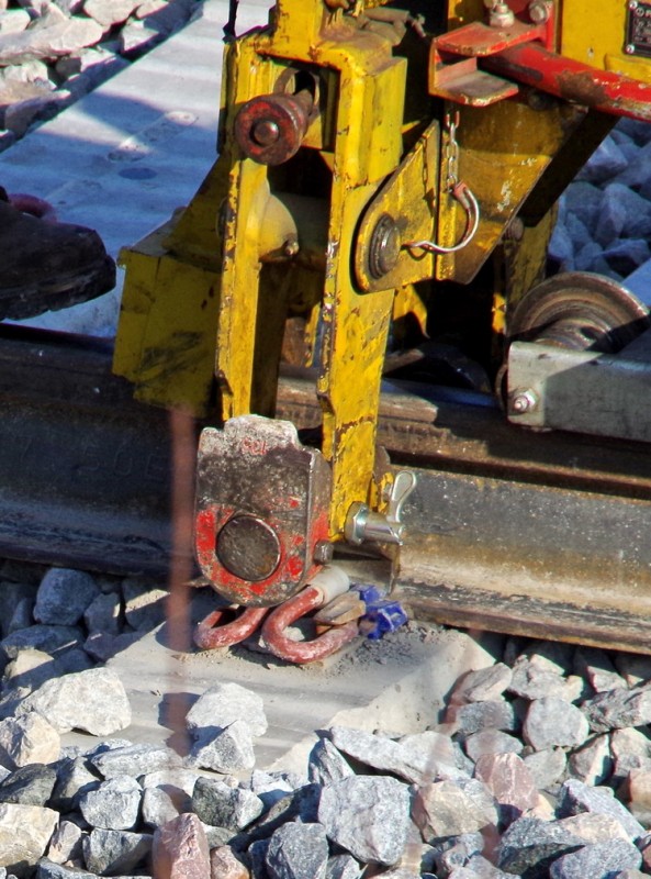 2018-02-22 bif de Jussy (3).jpg (266.99 Kio) Vu 1657 fois 2018-02-22 bif de Jussy (3).jpg