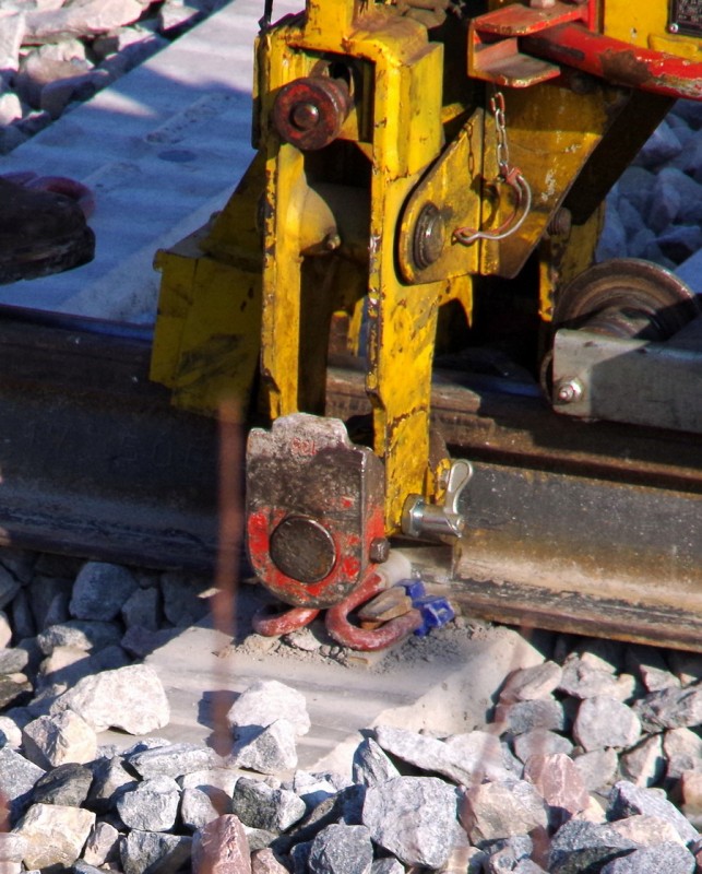 2018-02-22 bif de Jussy (2).jpg (301.59 Kio) Vu 1659 fois 2018-02-22 bif de Jussy (2).jpg