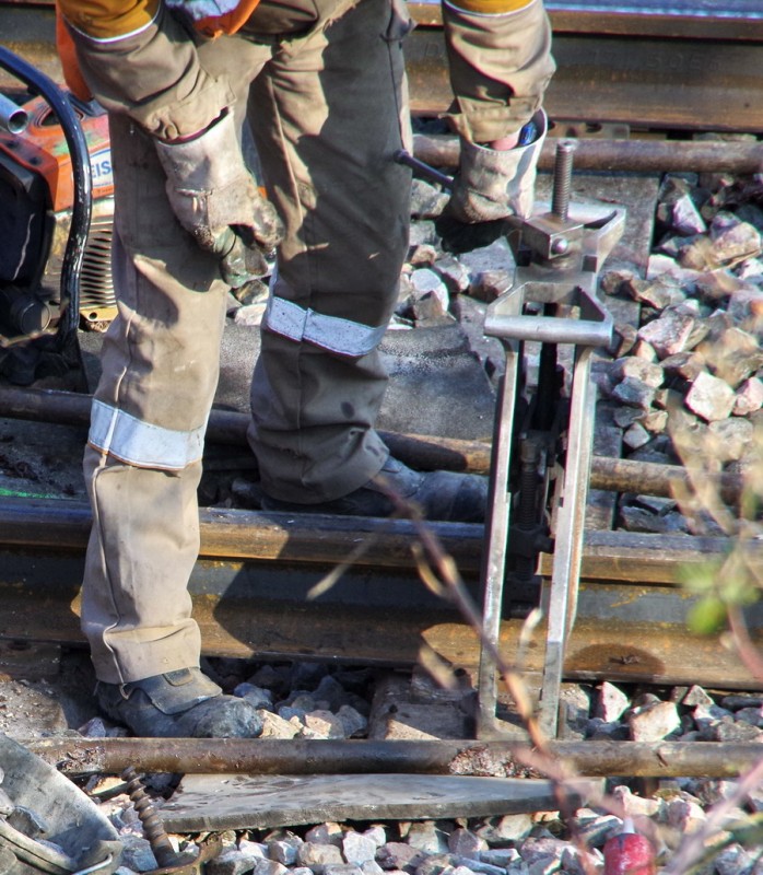2018-02-22 bif de Jussy (4).jpg (306.79 Kio) Vu 3588 fois 2018-02-22 bif de Jussy (4).jpg