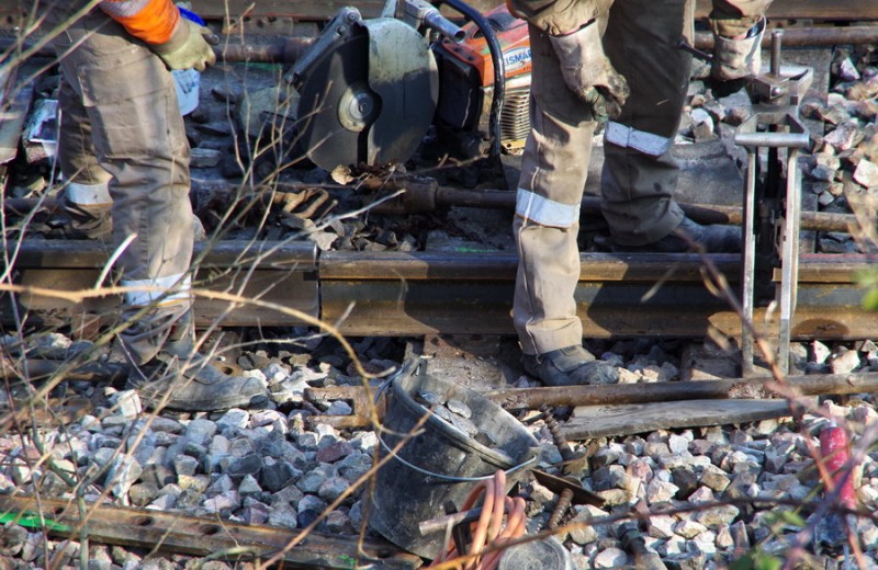 2018-02-22 bif de Jussy (3).jpg (226.33 Kio) Vu 1763 fois 2018-02-22 bif de Jussy (3).jpg