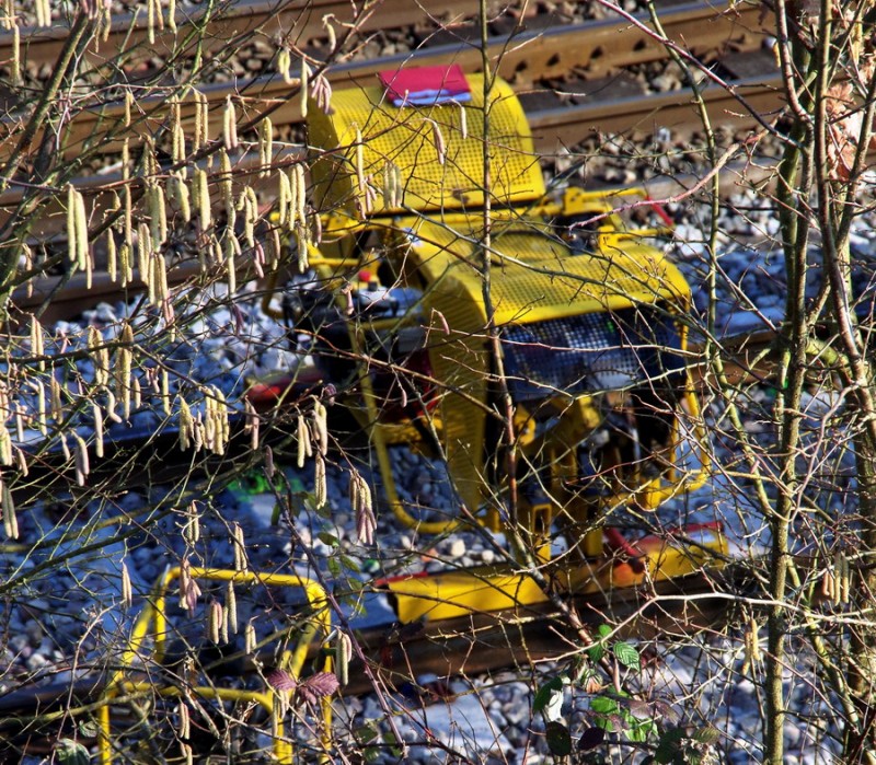 2018-02-22 bif de Jussy (2).jpg (394.08 Kio) Vu 1759 fois 2018-02-22 bif de Jussy (2).jpg